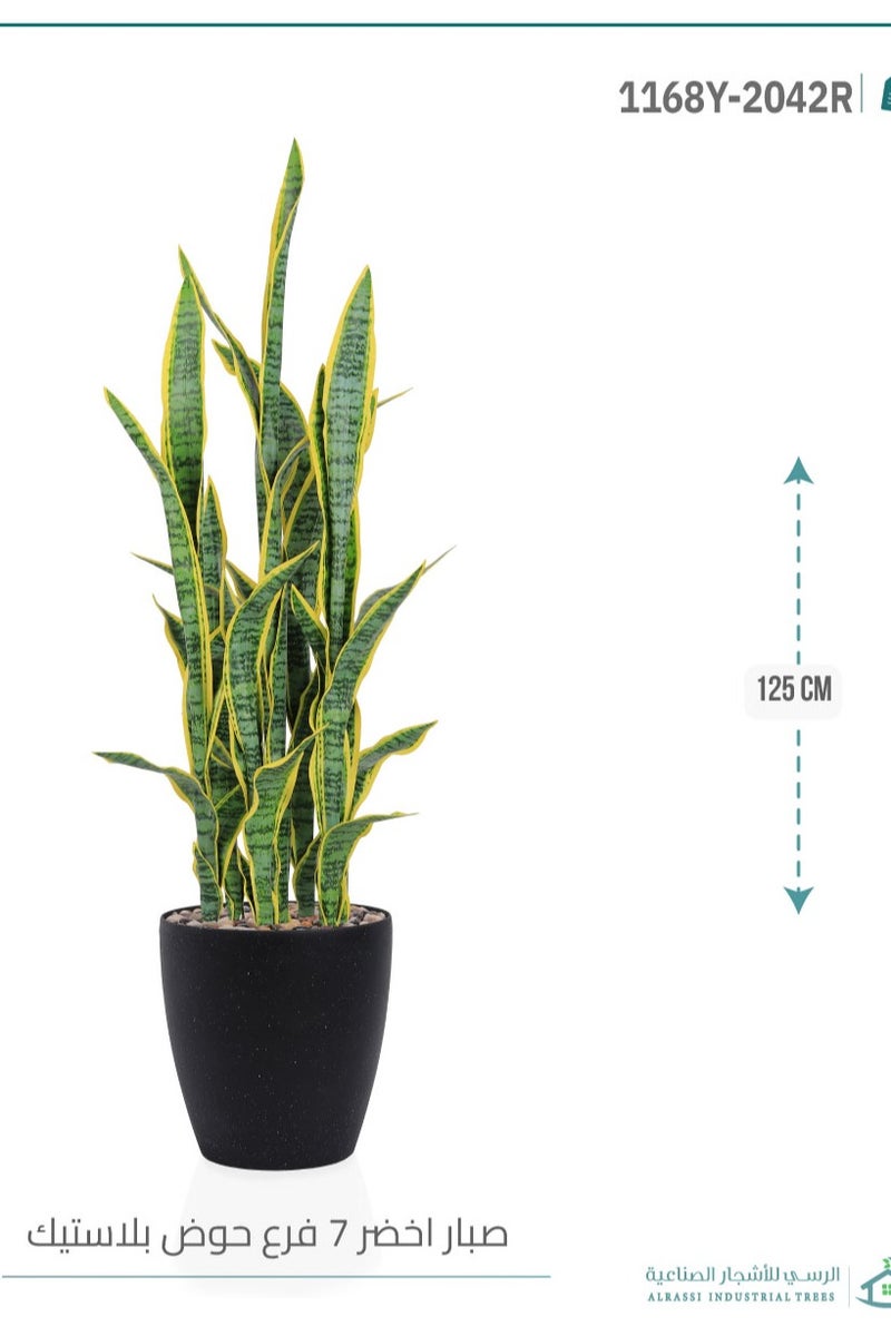 Alrassi Yellow Sansevieria Cactus (7 Branches) in Cylindrical Plastic Pot - Image 2