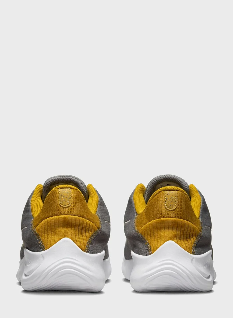 Nike Flex Experience Rn 11 Nn