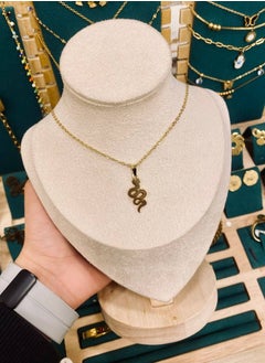 Generic Accessory necklace - unique, elegant and distinctive design 