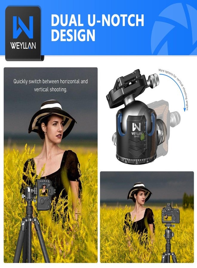 WEYLLAN Low Profile Ball Head 52mm Tripod Head DH52 Camera Head Mount, CNC Heavy Duty Ball Head with Two 1/4" Quick Release Plates, Panoramic Ballhead for Tripod, Monopod, DSLR, Max Load 66lbs /30kg - Image 4