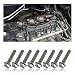 YGDMD 8PCS Ignition Coil Bolt Screws OEM W706175S43Stainless Steel Automotive Replacement Ignition Coils Mount Bolt Compatible with Ford Lincoln MercuryBolts of Ignitions Coil for Car 8PCS - Image 2