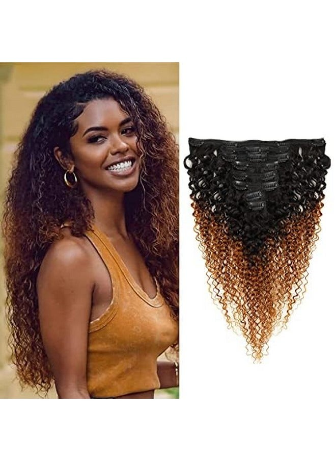 seelaak - 24 Inches Ombre Brown Curly Clip In Hair Extensions Brazilian Virgin Remy Hair Kinky Curly Clip Ins Human Hair Extension - Image 1