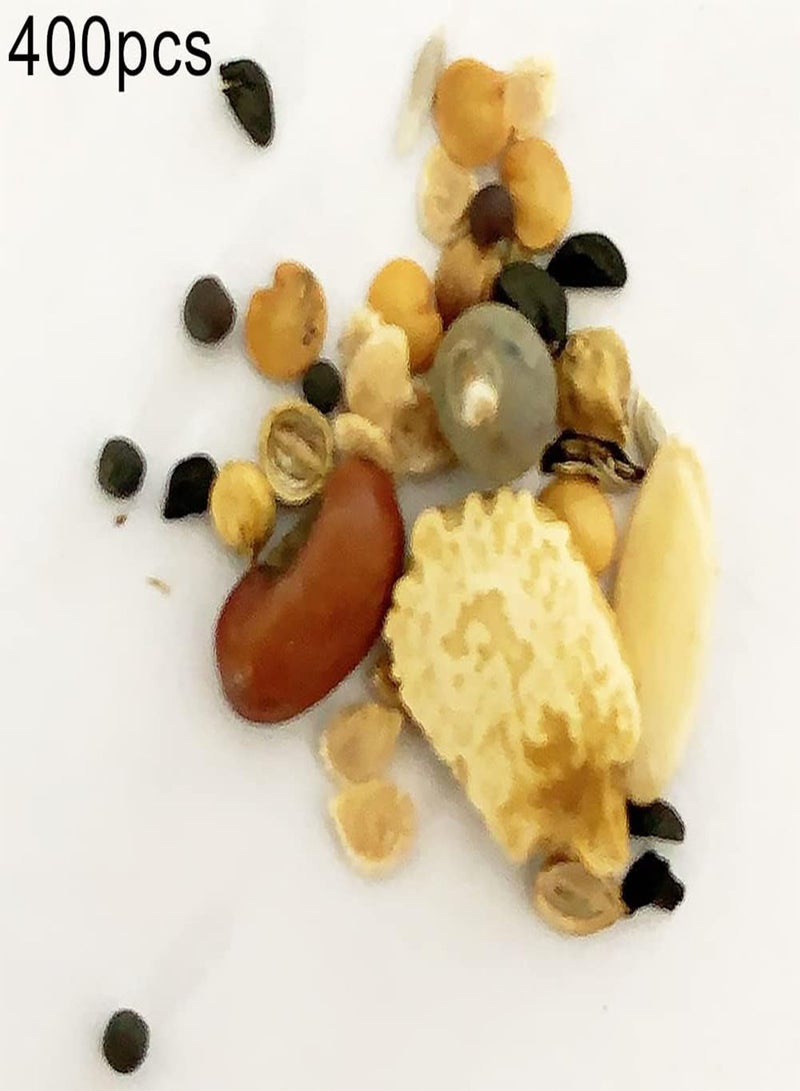 GGOOT 400Pcs Vegetable Fruit Flower Seeds Mixed Pack | 20-Species Garden Balcony Patio Plant Seedlings Kit Seeds 1size - Image 2