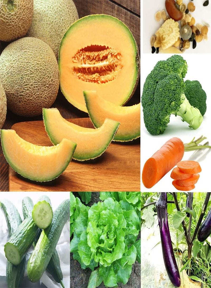 GGOOT 400Pcs Vegetable Fruit Flower Seeds Mixed Pack | 20-Species Garden Balcony Patio Plant Seedlings Kit Seeds 1size - Image 1