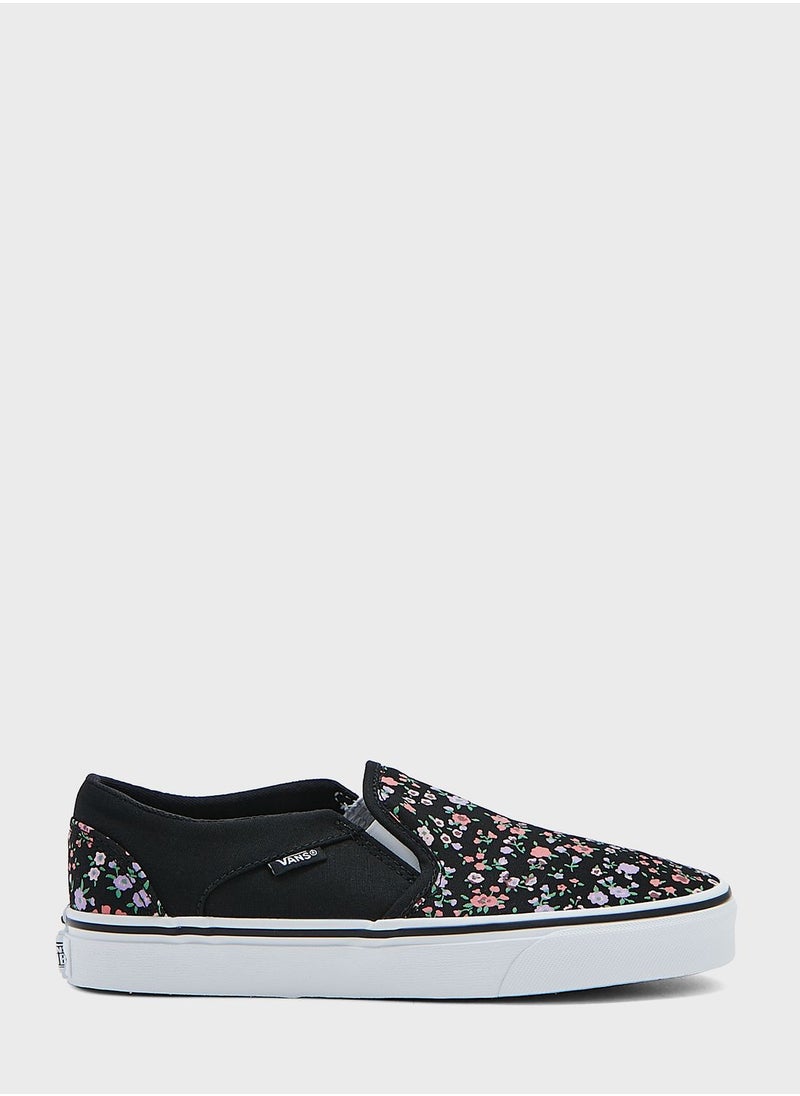 VANS - Asher - Image 1