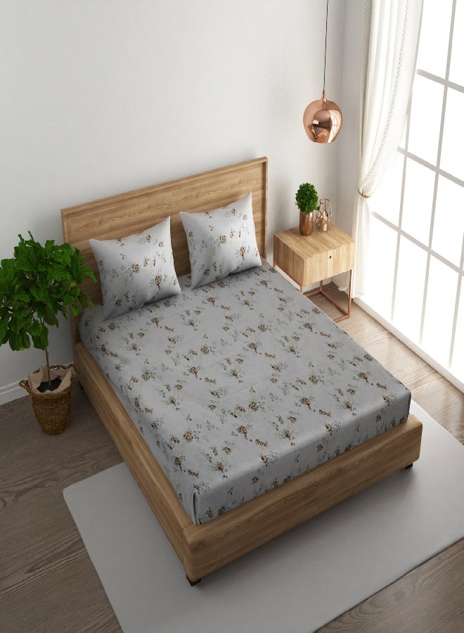 RISHAHOME 3-Piece 180 TC Printed Cotton Bedsheet Set Queen Size – Premium Collection with 2 pillow case - Image 1