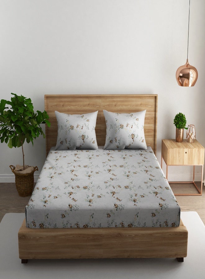 RISHAHOME 3-Piece 180 TC Printed Cotton Bedsheet Set Queen Size – Premium Collection with 2 pillow case - Image 2