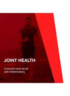 Protocol For Life Balance Protocol Curcumin Pc 500Mg Oxidative Stress Modulator Joint Health Supplement 60 Veg Caps  - Image 4