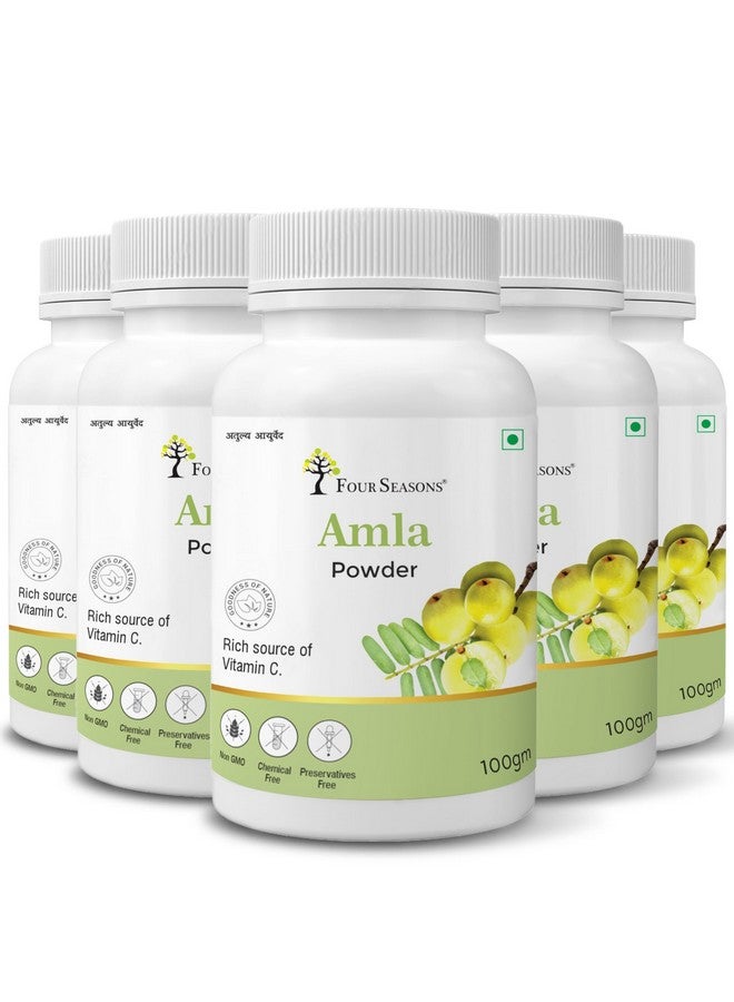 Four Seasons Amla Powder 100Gm (Pack Of 4) - Image 1