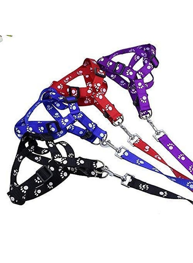 Dog Paw Print Adjustable Harness Leash And Collar Set For Small Dogs And Puppies (Color As Per Availability) - Image 2