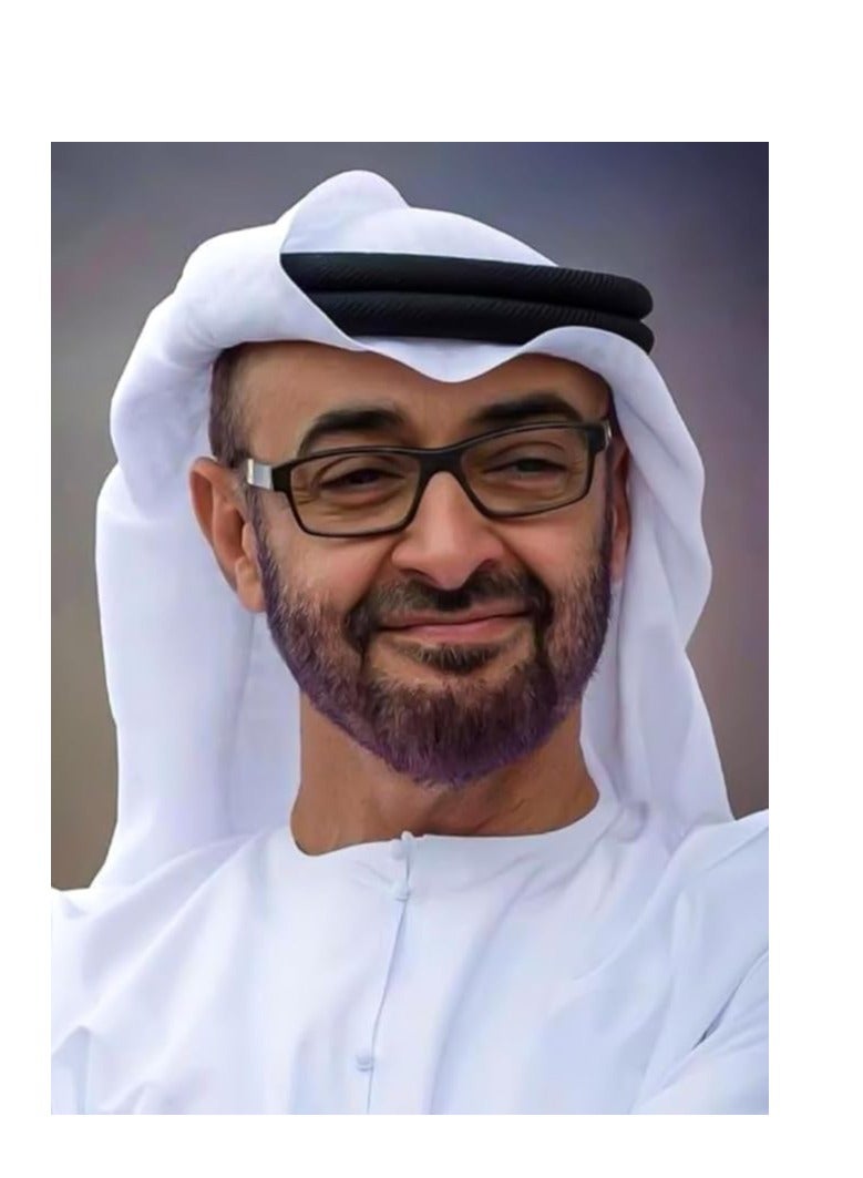 طقم رسم بالألماس ثلاثي الأبعاد، مناسب للأطفال والكبار، لتزيين الجدران، تصميمات مستوحاة من سمو الشيخ محمد بن زايد آل نهيان، يتضمن أحجار ألماس أكريليك، قماش لاصق بإطار خشبي، طقم فني مريح، 40x50 سم - Image 2