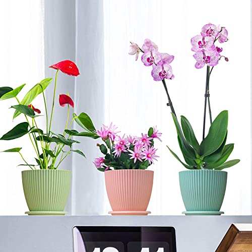 INKULTURE Plastic Round Flower Pots with Tray for Home Planters, Terrace, Garden Etc | Pack of 05 | Blue | Size 6.5 Inch | for Home Indoor & Outdoor Gardening Plants - Image 5
