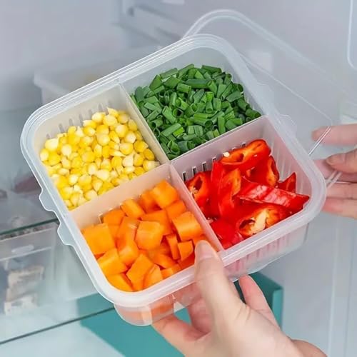 MosQuick® 4 Grid Food Storage Containers vegetable storage box for fridge - Durable Fridge Storage Boxes, Versatile fridge storage containers garlic storage container herbs saver for fridge. - Image 1