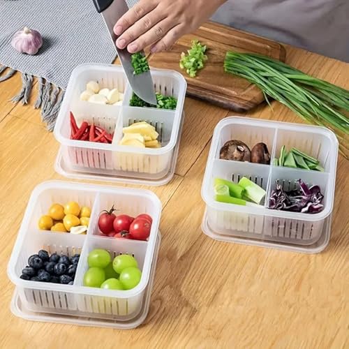 MosQuick® 4 Grid Food Storage Containers vegetable storage box for fridge - Durable Fridge Storage Boxes, Versatile fridge storage containers garlic storage container herbs saver for fridge. - Image 4