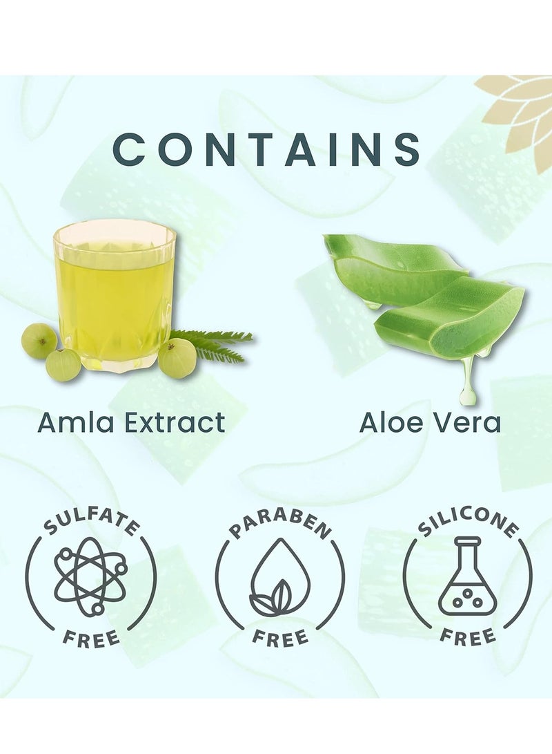 Barva Revitalizing Shampoo And Nourishing Natural Hair Conditioner SLS Sulphate Paraben free Combo Pack 500G - Image 4