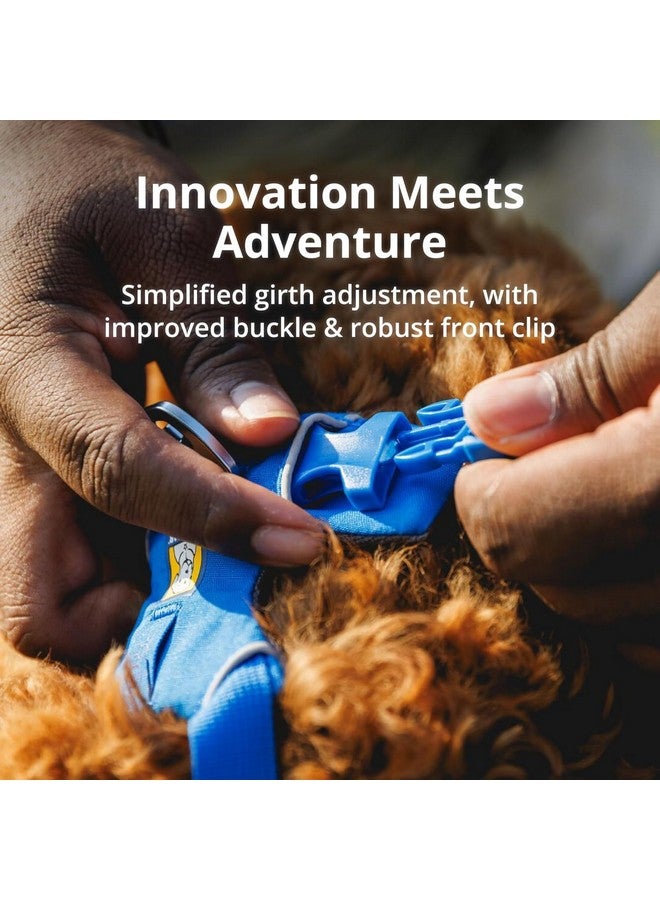 راف وير Ruffwear، حزام كلاب Front Range، حزام يومي مبطن ناعم عاكس مع مشابك مقود مزدوجة، قابل للتعديل وخفيف الوزن مناسب للتدريب أو المشي لجميع الكلاب، Red Canyon، مقاس صغير جدًا - Image 4