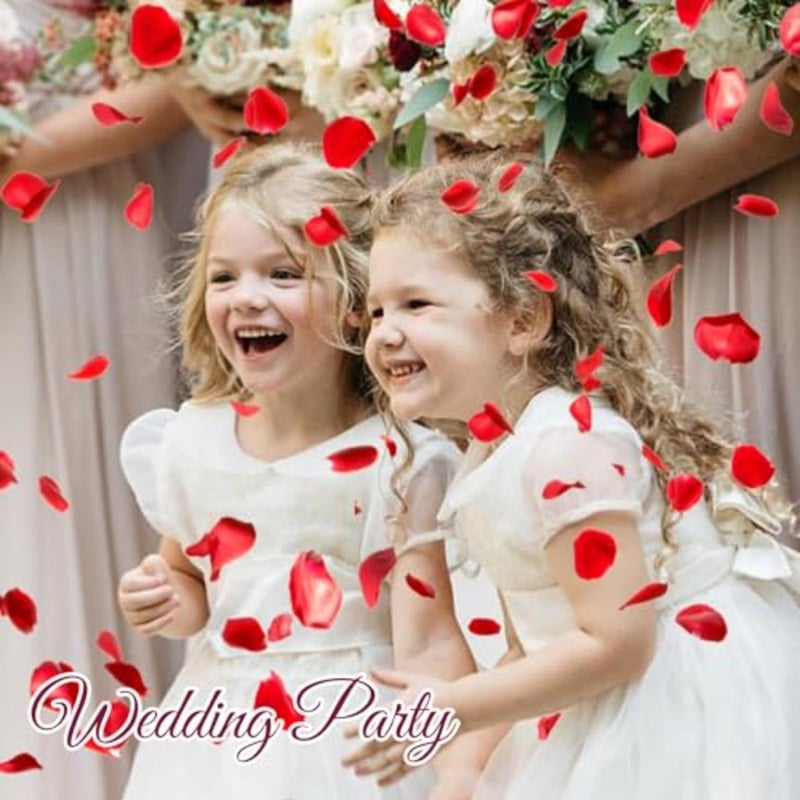 250 PCS Real Red Rose Petals for Wedding Natural Preservation Flower Petals For Flower Girl, Baby Shower, Bridal Shower, Romantic Night, Table Decoration 100g - Image 4