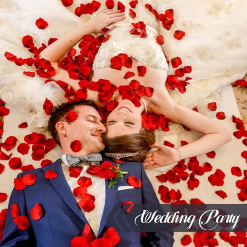 250 PCS Real Red Rose Petals for Wedding Natural Preservation Flower Petals For Flower Girl, Baby Shower, Bridal Shower, Romantic Night, Table Decoration 100g - Image 2