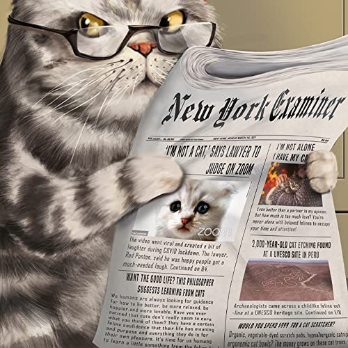 Funwares 1000 Piece Jigsaw Puzzle Crappy Cat Meow Time Gag Gifts for Women Cat Pooping Puzzle Funny White Elephant Gift - Image 5