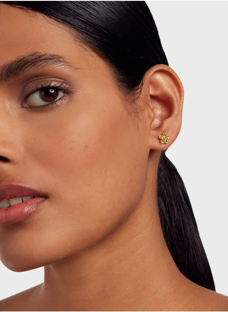 Ted Baker Wildie Tiny Flower Stud Earrings