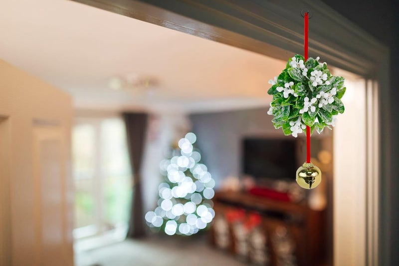 Ornativity Mistletoe Ball Christmas Ornament - Holiday Kissing Mistletoe Bell Hanging Kiss Decoration for Doorway Arch Ceiling Xmas Decor 10" - Image 1