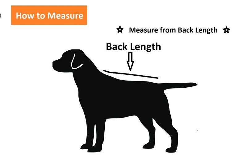 Petslover Dog Coats - Cold Weather Dog Jacke -Coat Sweater Hoodie Outwear Apparel, Pockets, Rain/Water Resistant, Adjustable Drawstring - Image 4