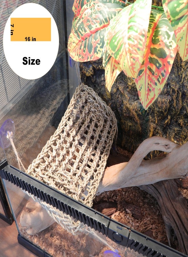 ExoRepti Bearded Dragon Hammock Lizard Tank Accessories Reptile Lounger Amphibian Habitat Décor for Chameleon, Geckos, Snakes, Hermit Crab, Lguana Reptiles, Tortoises - Image 2