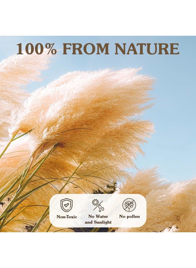 Fulolar 10pcs 40'' Pampas Grass Tall Decor Pompas Floral, Tall Pampas Grass for Floor Vases, Living Room Floor, Floor Plants, Plumas para, and Grass Wall Decor - Image 5