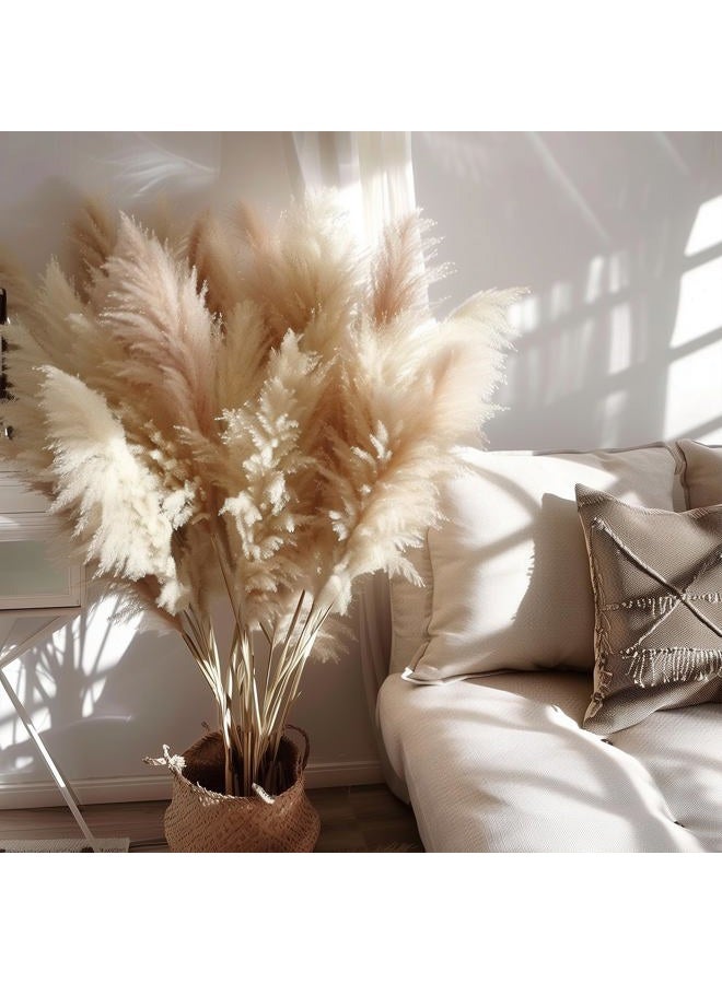 Fulolar 10pcs 40'' Pampas Grass Tall Decor Pompas Floral, Tall Pampas Grass for Floor Vases, Living Room Floor, Floor Plants, Plumas para, and Grass Wall Decor - Image 1