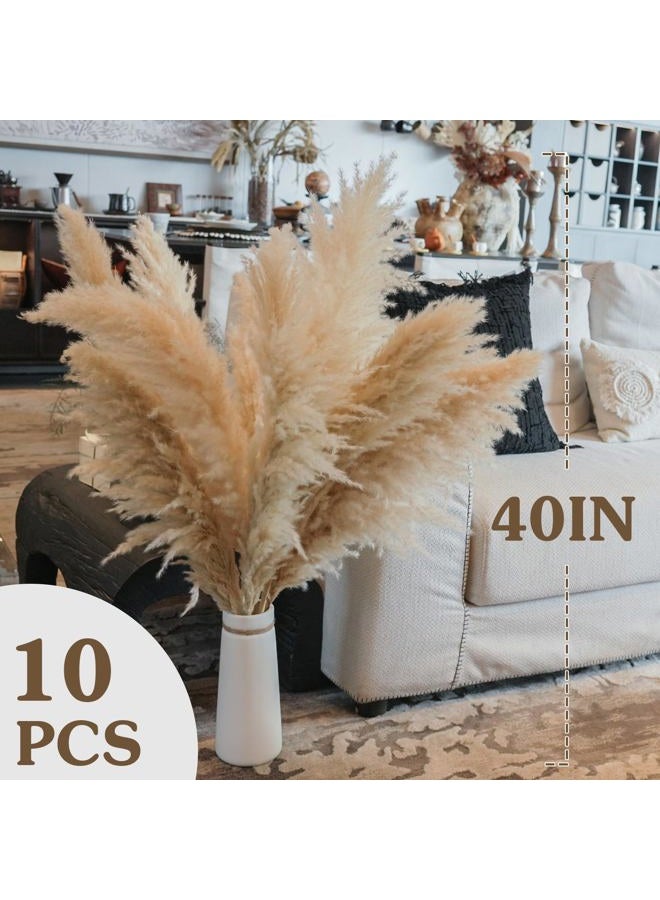 Fulolar 10pcs 40'' Pampas Grass Tall Decor Pompas Floral, Tall Pampas Grass for Floor Vases, Living Room Floor, Floor Plants, Plumas para, and Grass Wall Decor - Image 3