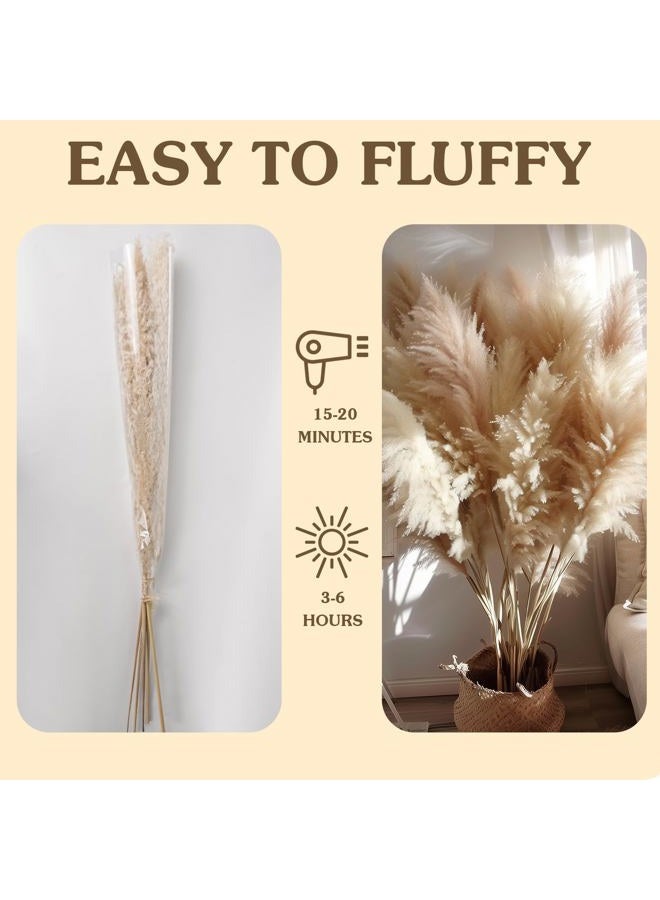 Fulolar 10pcs 40'' Pampas Grass Tall Decor Pompas Floral, Tall Pampas Grass for Floor Vases, Living Room Floor, Floor Plants, Plumas para, and Grass Wall Decor - Image 4
