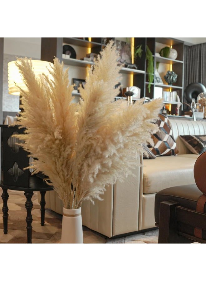 Fulolar 10pcs 40'' Pampas Grass Tall Decor Pompas Floral, Tall Pampas Grass for Floor Vases, Living Room Floor, Floor Plants, Plumas para, and Grass Wall Decor - Image 2