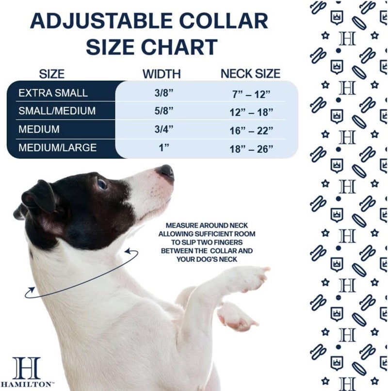 Hamilton 3/4" Adjustable Dog Collar in Red - Fits 16-22 Inches - Image 4