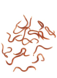 Excefore 3 Boxes Fishing Soft Lure Earthworm Bait Artificial Silicone Earthworm Lifelike Fake Earthworm Grub Tricky Toy Party Prank Toy Brown  - Image 2