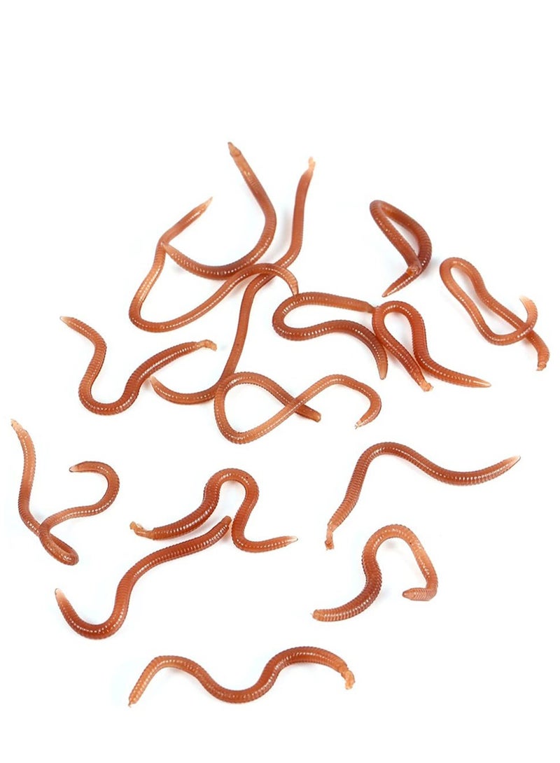 Excefore 3 Boxes Fishing Soft Lure Earthworm Bait Artificial Silicone Earthworm Lifelike Fake Earthworm Grub Tricky Toy Party Prank Toy Brown - Image 2