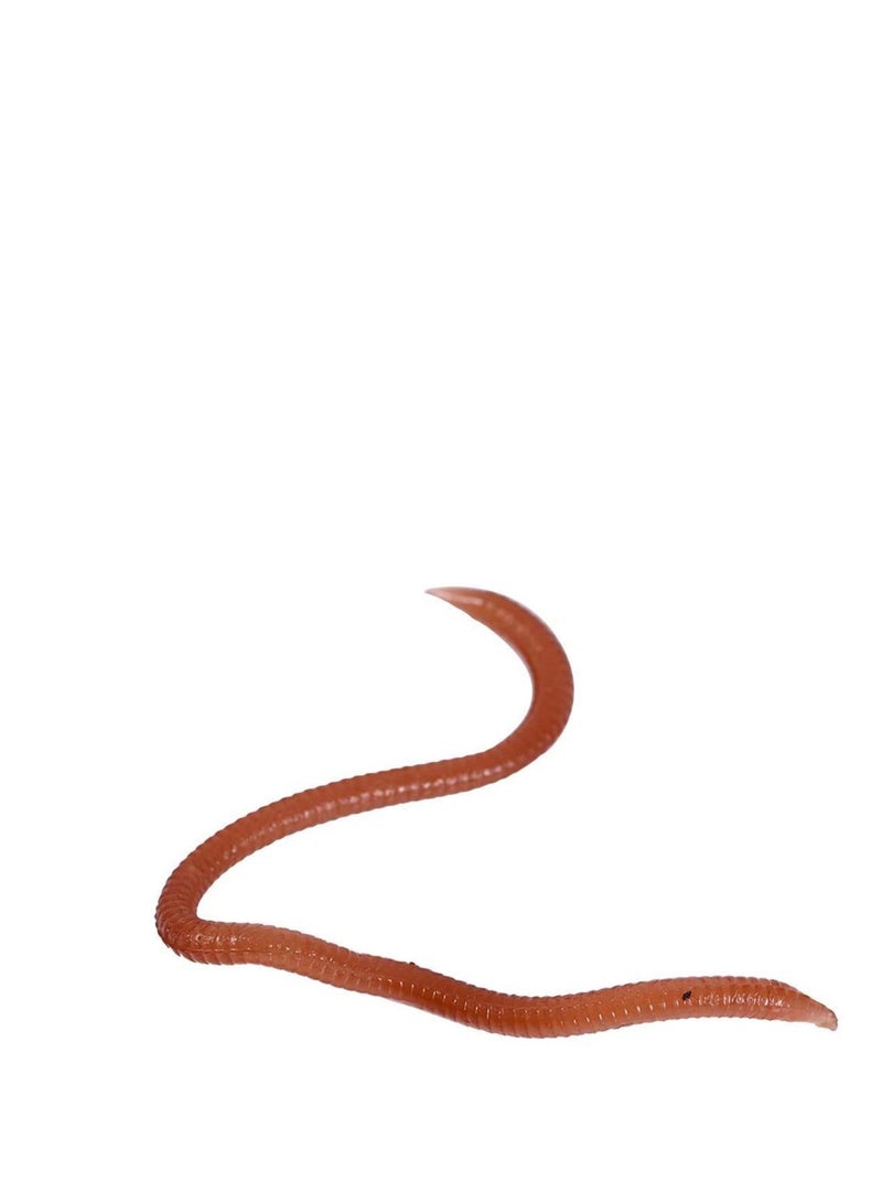 Excefore 3 Boxes Fishing Soft Lure Earthworm Bait Artificial Silicone Earthworm Lifelike Fake Earthworm Grub Tricky Toy Party Prank Toy Brown - Image 1