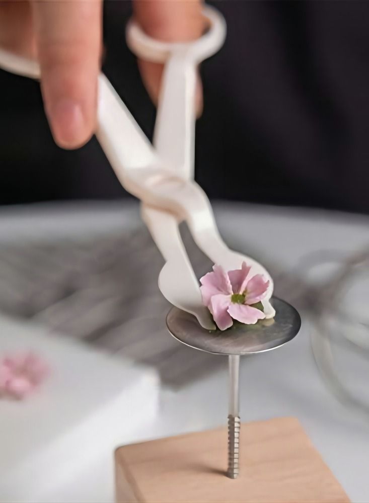 KASTWAVE Cake Flower Nail and Flower Lifters Set, 6PCS Stainless Steel Cake Cupcake Decor Baking Tools, 4 Size - Image 2