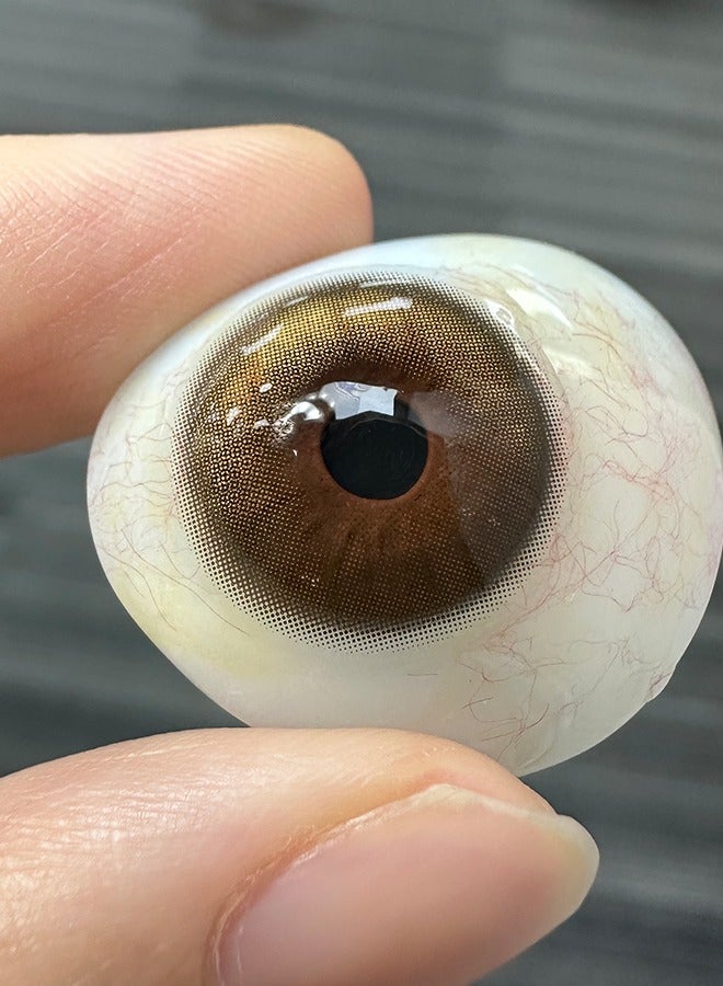 سيدة جديدة عدسات لاصقة ملونة بنية من فريش ليدي للاستخدام السنوي - Image 4