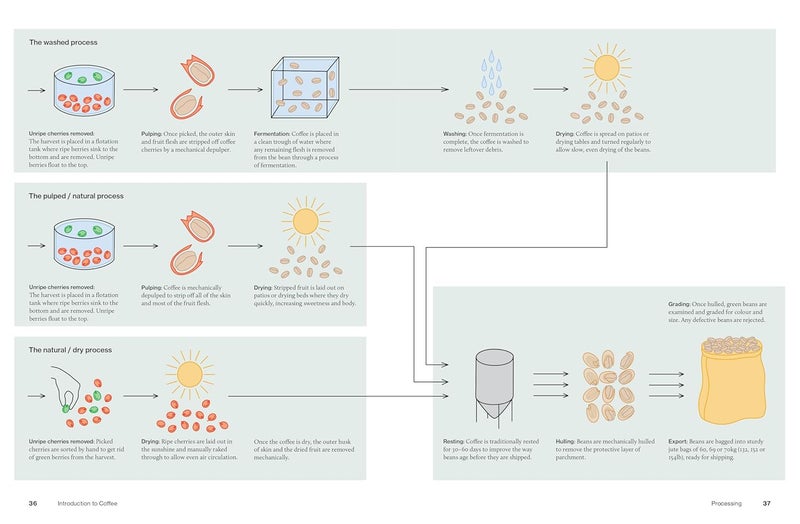 The World Atlas of Coffee 3rd edition: From beans to brewing – coffees explored, explained and enjoyed - Image 5