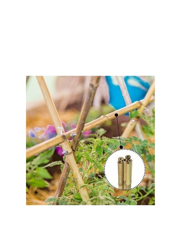 Generic FFD Natural Bamboo Poles - Plant Support Stakes for Indoor & Outdoor Gardening, 100cm Bamboo Stakes for Tomatoes, Beans, Potted Plants & Climbing Vines - Strong & Eco-Friendly Garden Sticks  - Image 5