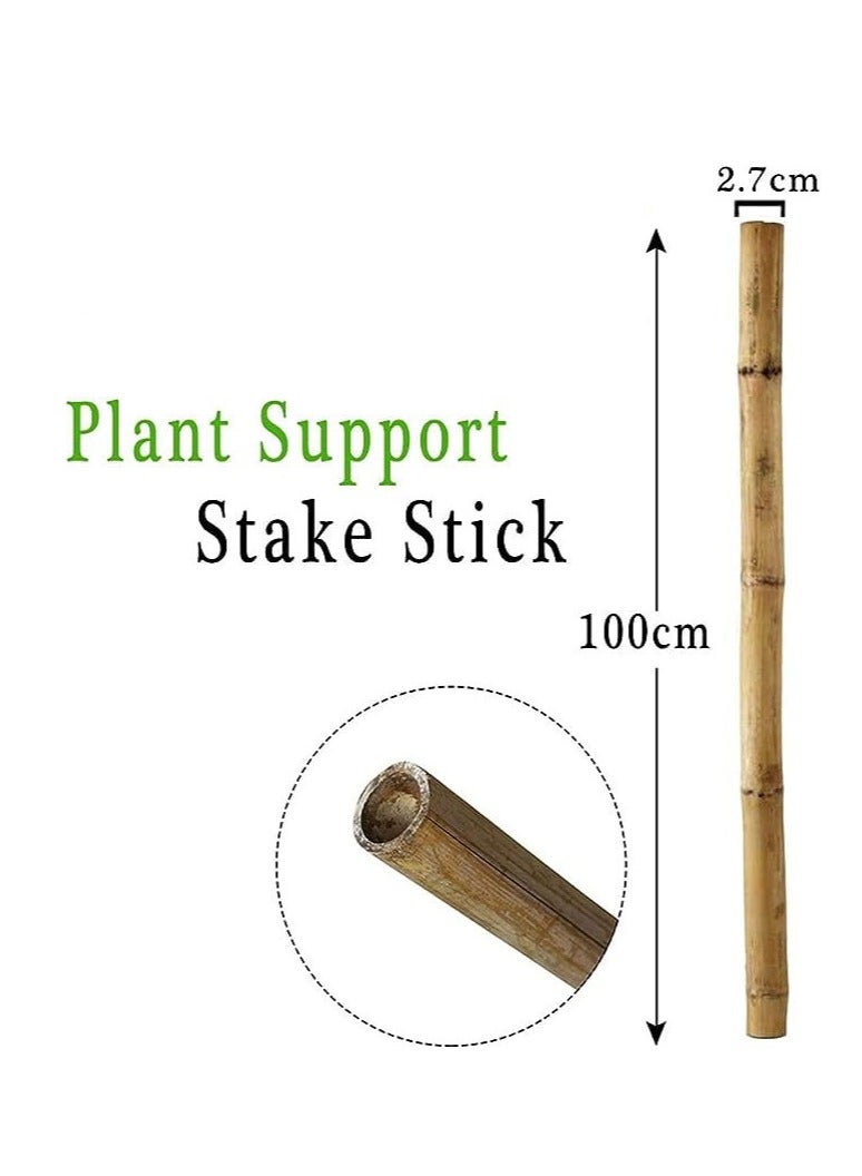Generic FFD Natural Bamboo Poles - Plant Support Stakes for Indoor & Outdoor Gardening, 100cm Bamboo Stakes for Tomatoes, Beans, Potted Plants & Climbing Vines - Strong & Eco-Friendly Garden Sticks  - Image 2