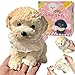 YJPPDD Big Taba Squishy Dog Handmade Squishy Dog Stress Relief Toy for AdultKids Cute Soft Teddy Dog Design Perfect Squeeze Toys Gift for Relaxation and FunCream Color - Image 3