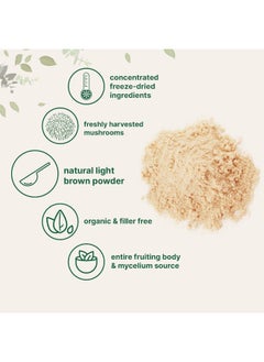 Micro Ingredients Micro Ingredients Sustainably US Grown, Organic Lions Mane Mushroom Powder 50:1 Extract  - Image 3
