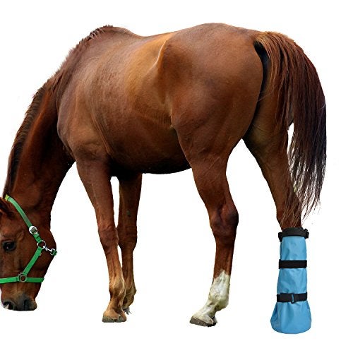 yeezo Hoof Soaking Boot Horse Soaker Hooves Treatment Bag with EVA Pad 1 Pair - Image 2