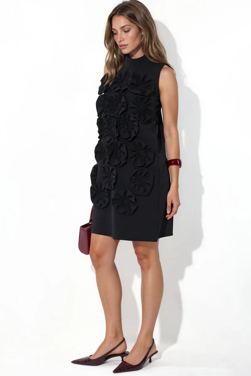 جينيفر Embroidered Sleeveless Mini Dress
