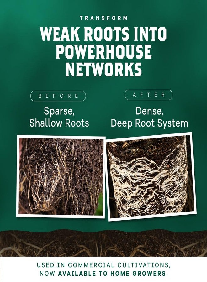 DYNOMYCO Mycorrhizal Inoculant - Plant Growth & Root Treatment, Concentrated Mycorrhiza Formula, Boosts Nutrient Uptake, Mycorrhizae Plant Food for Resilience & Fertilizer (200g / 7oz) - Image 3