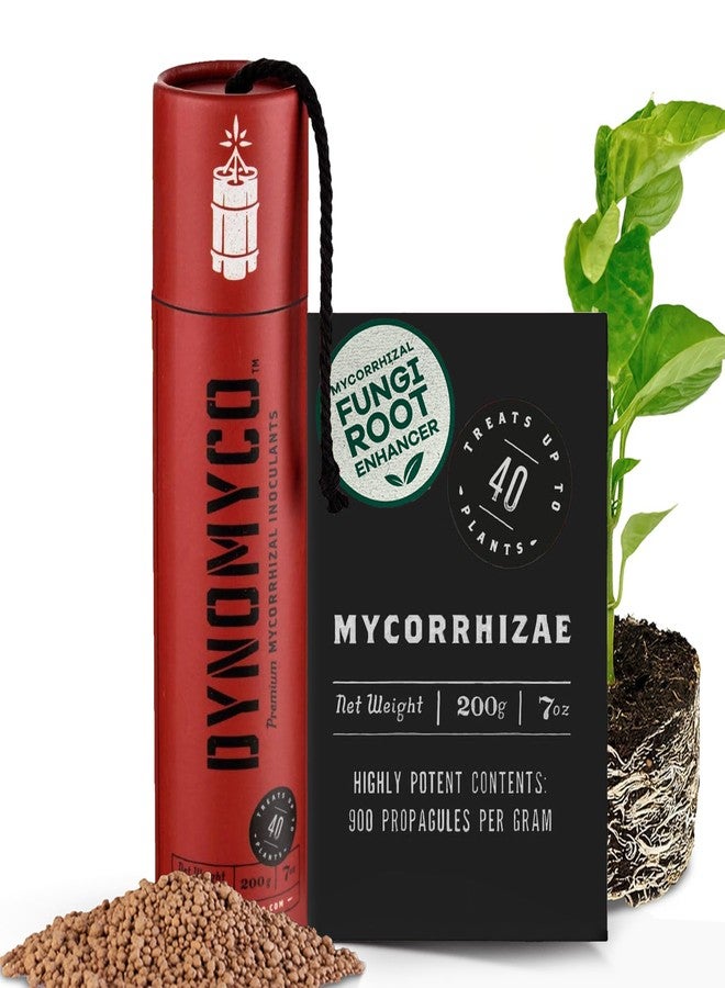 DYNOMYCO Mycorrhizal Inoculant - Plant Growth & Root Treatment, Concentrated Mycorrhiza Formula, Boosts Nutrient Uptake, Mycorrhizae Plant Food for Resilience & Fertilizer (200g / 7oz) - Image 1