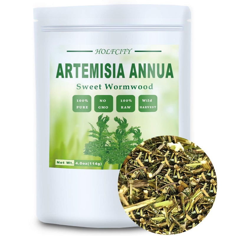 HOLFLYING Natural Artemisia Annua, Dried Sweet Wormwood, Herbal Loose Leaves (4.0 oz) - Image 1