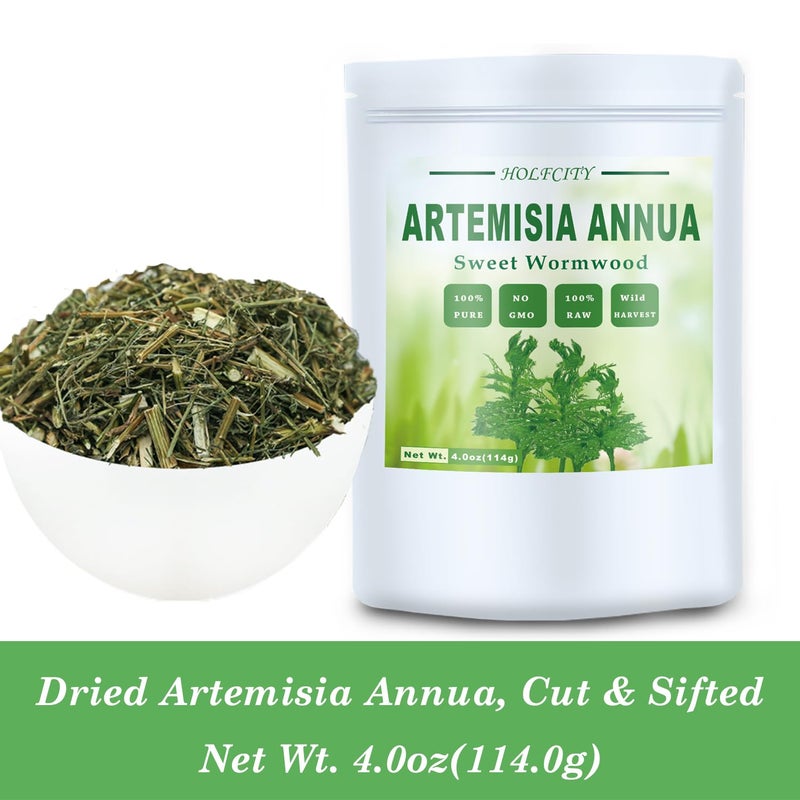 HOLFLYING Natural Artemisia Annua, Dried Sweet Wormwood, Herbal Loose Leaves (4.0 oz) - Image 2