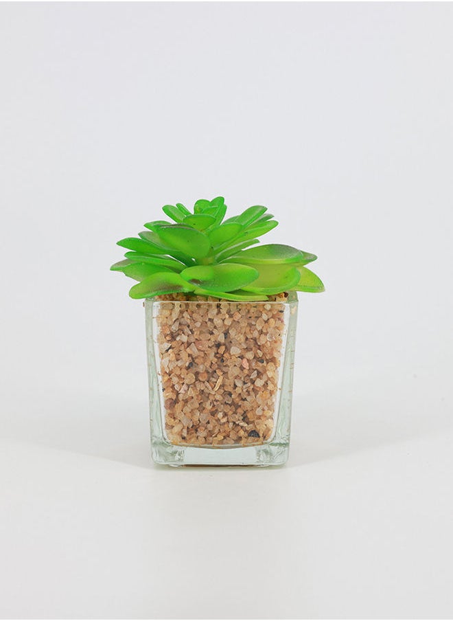 Rahalife Artificial Succulent Bonsai  - Image 1